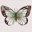 Picture of EMERALD BUTTERLY II