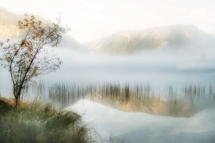 Picture of GOLDEN MIRROR OF OCTOBER