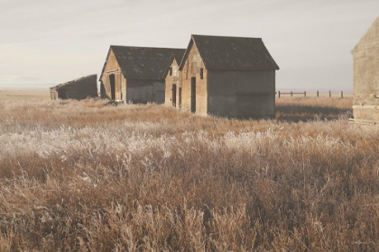 Picture of THE OLD FARM