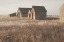 Picture of THE OLD FARM