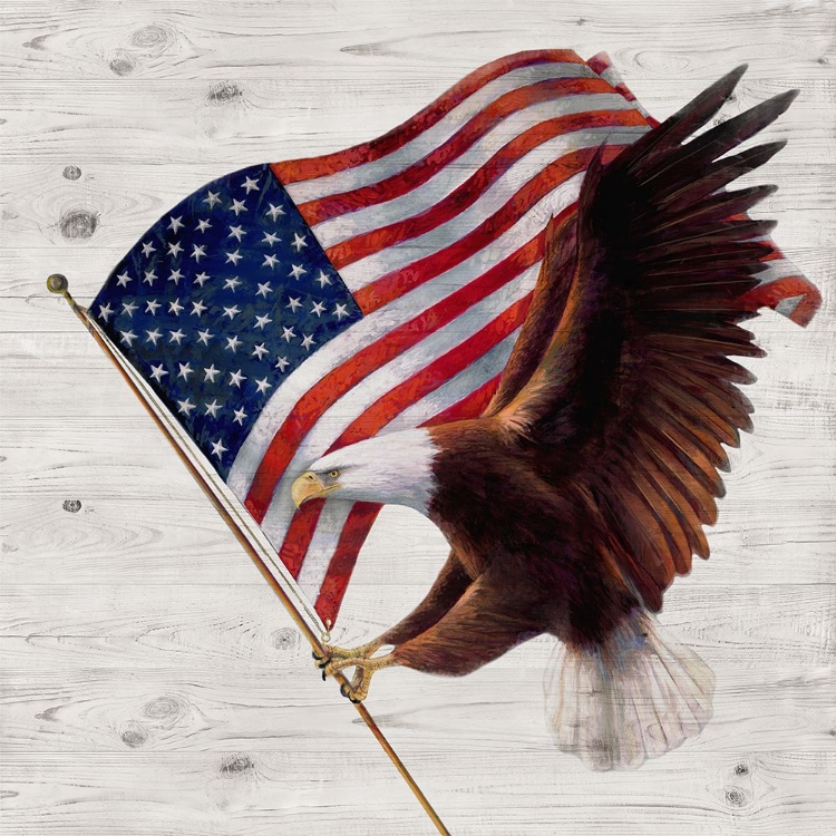 Picture of PATRIOTIC EAGLE