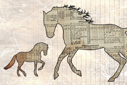 Picture of HORSEY BABY
