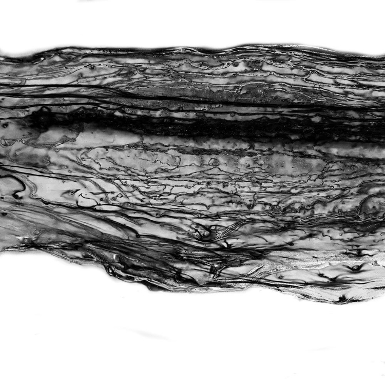 Picture of SPOKEN INTENTION 2