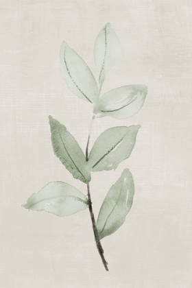 Picture of SOFTLY SHADED GREEN LEAVES I