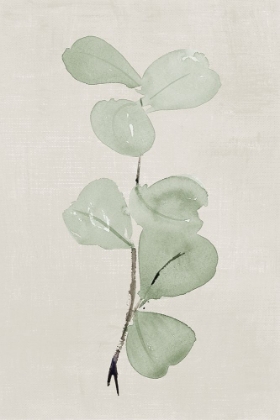 Picture of SOFTLY SHADED GREEN LEAVES III
