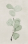 Picture of SOFTLY SHADED GREEN LEAVES III