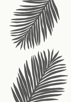 Picture of PALM LEAF 12 GRAPHITE GRAY