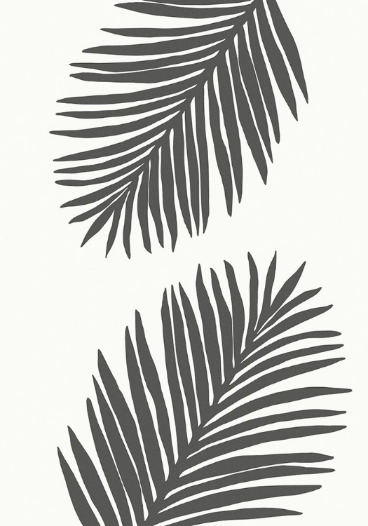 Picture of PALM LEAF 12 GRAPHITE GRAY