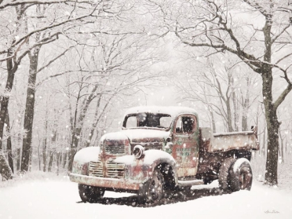 Picture of CHRISTMAS TREE TRUCK