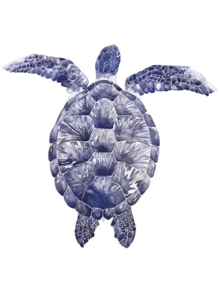 Picture of MARINE TURTLE I