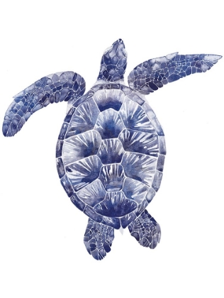 Picture of MARINE TURTLE II