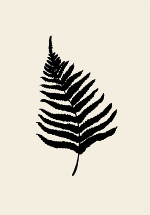 Picture of FERN
