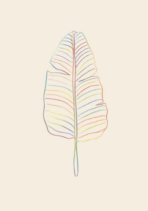 Picture of BANANA RAINBOW LEAF