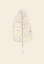 Picture of BANANA RAINBOW LEAF