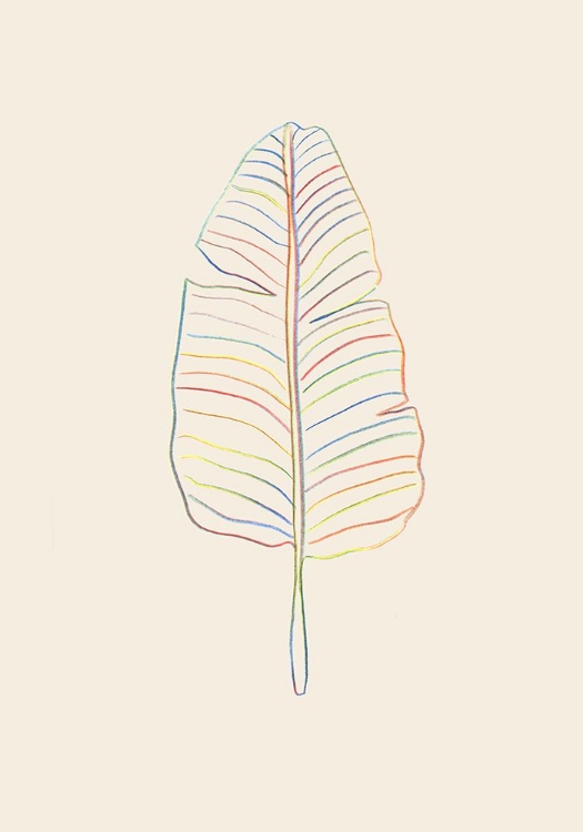 Picture of BANANA RAINBOW LEAF
