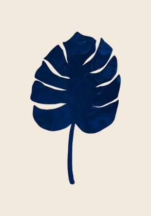 Picture of MONSTERA MARBLE BLUE