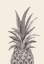 Picture of INK PINEAPPLE