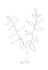 Picture of STANDING TWIGS