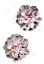 Picture of SUCCULENT 02