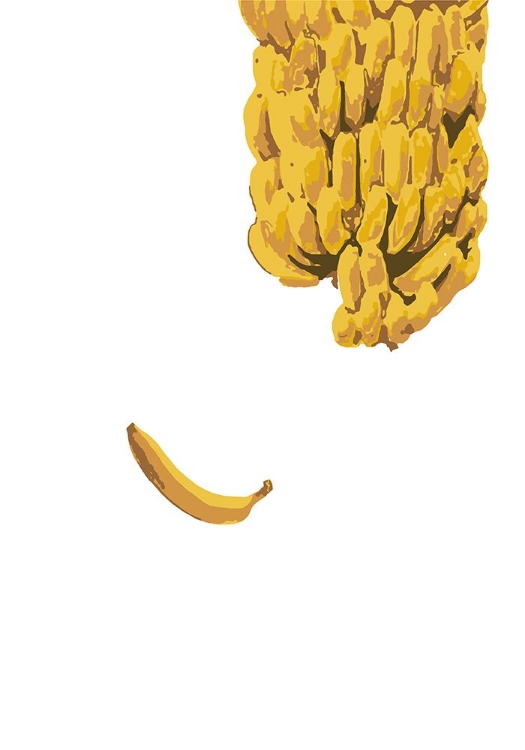 Picture of BANANAS