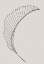 Picture of BANANA LEAF CANVAS
