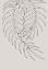 Picture of LEAF FRILLY PAIR