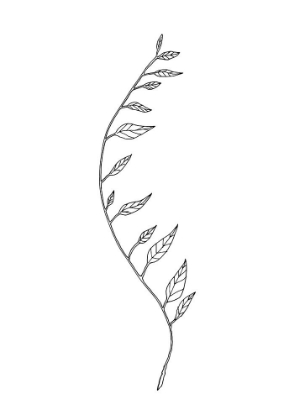 Picture of WAVY BRANCH WHITE
