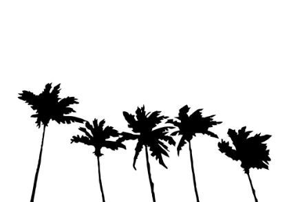Picture of PALMS WHITE