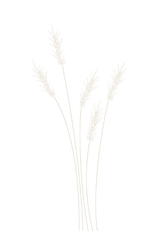 Picture of WHEAT GRASS