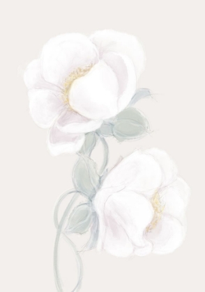 Picture of LUSH PEONY