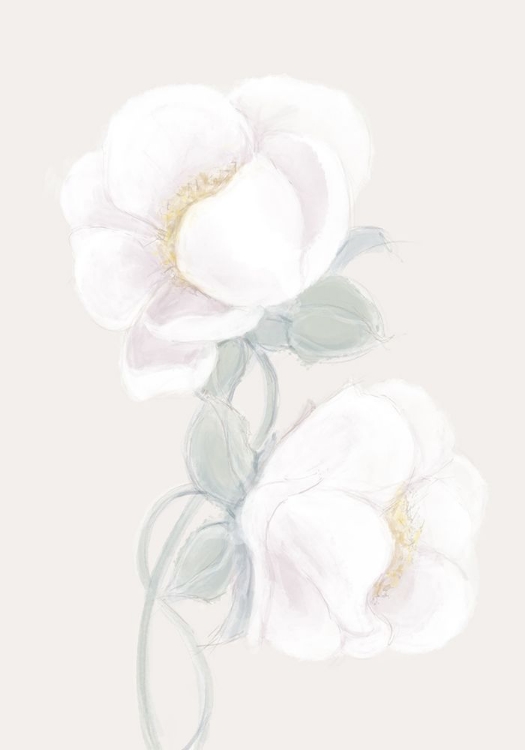 Picture of LUSH PEONY
