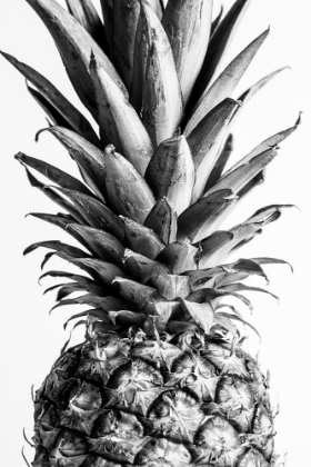 Picture of PINAPPLE BLACK A WHITE 03
