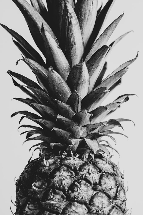 Picture of PINAPPLE BLACK A WHITE 04