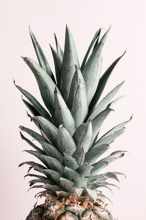 Picture of PINEAPPLE NATURAL TINT