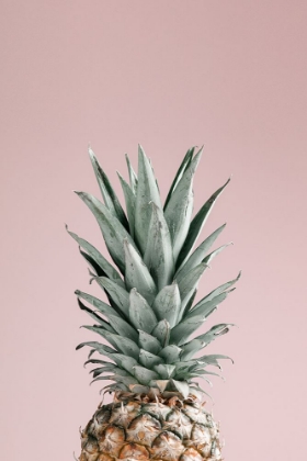 Picture of PINEAPPLE PINK 01