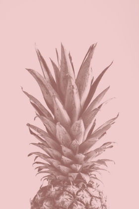 Picture of PINAPPLE PINK 05