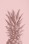 Picture of PINAPPLE PINK 05