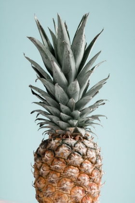 Picture of PINEAPPLE BLUE 01