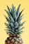 Picture of PINEAPPLE YELLOW 01