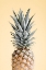 Picture of PINEAPPLE YELLOW 05