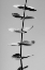 Picture of EUCALYPTUS BLACK A WHITE