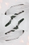 Picture of MONSTERA WHITE 02
