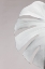 Picture of MONSTERA WHITE 05