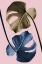 Picture of MONSTERA PINK 12