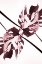 Picture of MONSTERA KALEIDOSCOPE 02