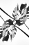 Picture of MONSTERA KALEIDOSCOPE 03