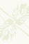 Picture of MONSTERA KALEIDOSCOPE 04