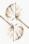 Picture of MONSTERA GOLD 10
