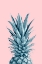 Picture of PINEAPPLE PINK 06