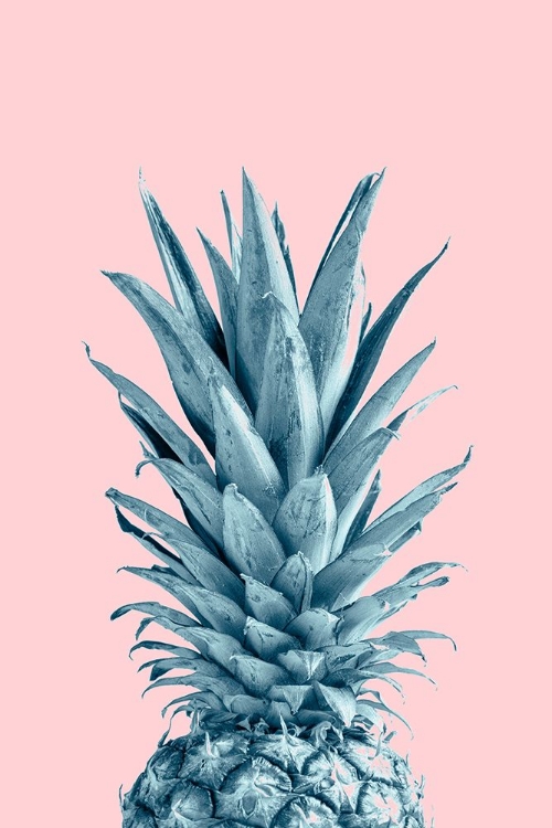 Picture of PINEAPPLE PINK 06